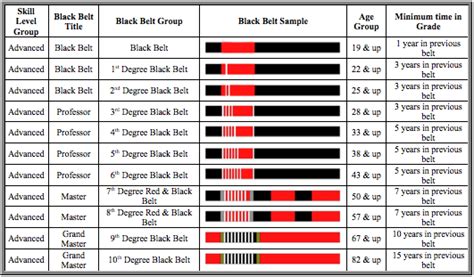 How Do BJJ Black Belts Get Their Stripes & Promotions ? - Chewjitsu.net