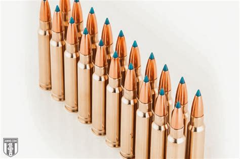 Top 10 Best Sniper Rifle Cartridges for When You Need to Make the Shot