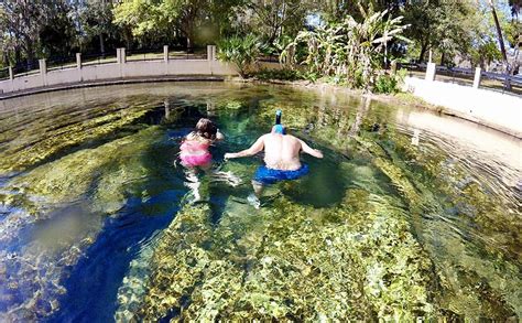 Salt Springs Swimming & Snorkeling - Jacksonville Beach Moms