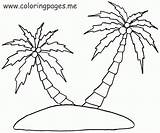 Coconut Tree Coloring Page  Home sketch template