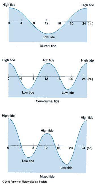 Tidy (Poem) – The Fractal Journal