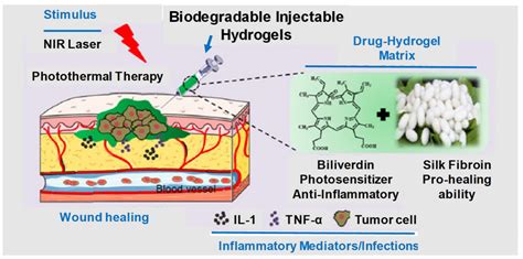 Design Challenges and Limitations of Injectable Hydrogels | Encyclopedia MDPI