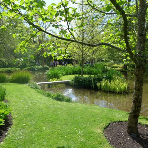 Pictures of Longstock Park Water Garden, Nursery, Farm Shop and Cafe ...