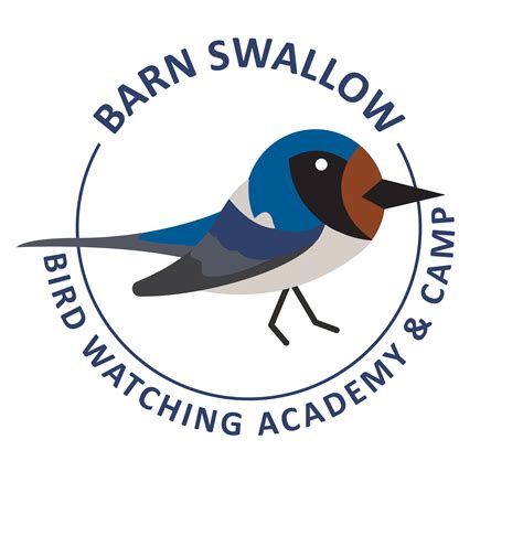 Barn Swallow - Bird Watching Academy