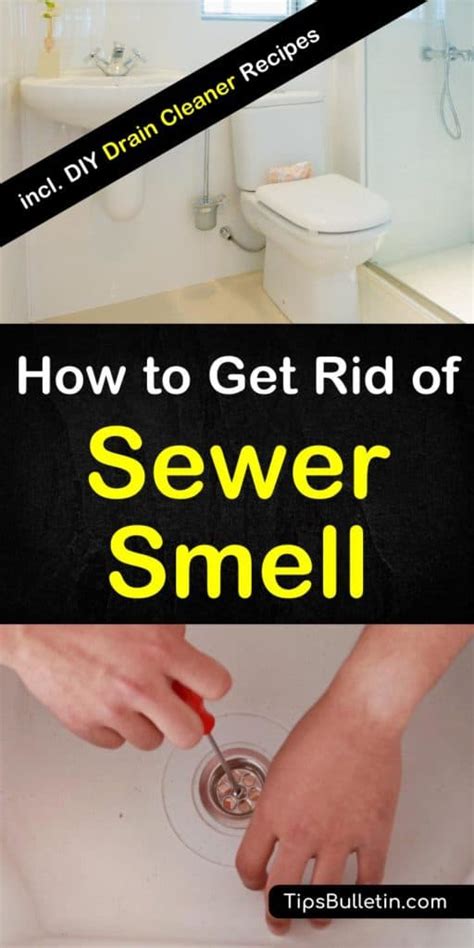 How To Get Rid Of Sewer Smell In Your House - From Basements, Bathroom ...