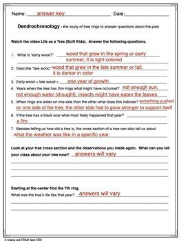 Dendrochronology - The Study of Tree Rings by Science and STEAM Team