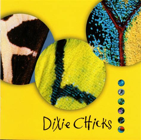 Dixie Chicks – Fly (1999, Yellow Cover, CD) - Discogs