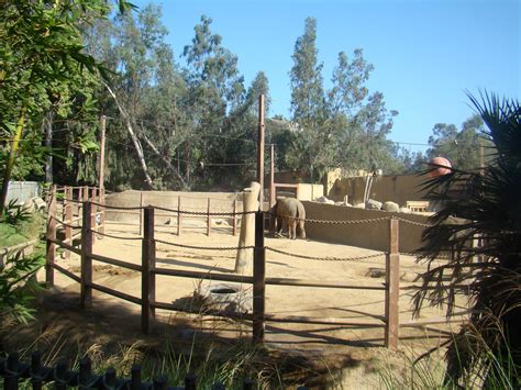 Asian Elephant exhibit at the Los Angeles Zoo - ZooChat