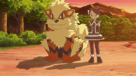 Marley (anime) | Pokémon Wiki | FANDOM powered by Wikia