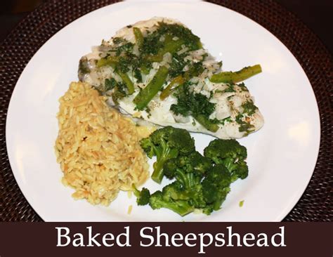 Baked Sheepshead - Sea Hag Marina and the Shacks at Sea Hag