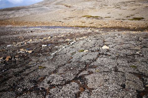 Will Melting Permafrost Release Global 'Methane Bomb'? | Live Science