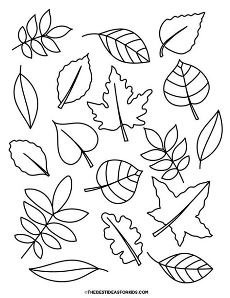 fall leaves coloring pages for kids to print out and color on the page is an easy way