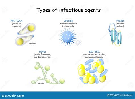 Pathogen. Infection from Prions and Viruses, To Bacteria, Fungi and ...