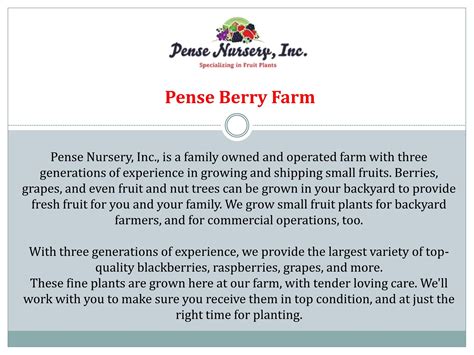 Pense Berry Farm - penseberryfarm - Page 1 - 6 | Flip PDF Online | PubHTML5