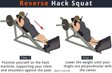 Reverse Hack Squat with Machine: How to Do, Benefits and Alternatives