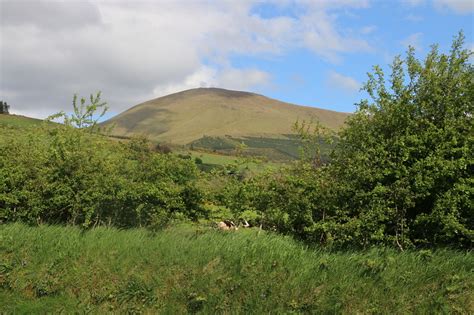 Temple Hill (Ireland) Mountain Information