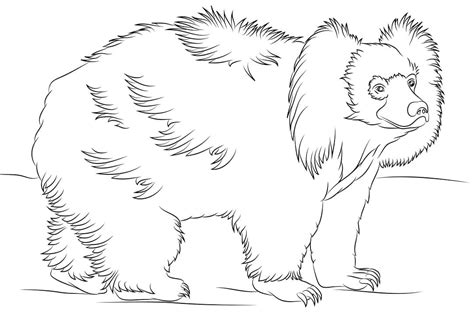 Family Sloth Bears Coloring Page - Free Printable Coloring Pages for Kids