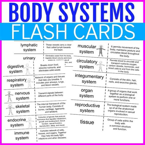 Body systems flash cards | Body systems, Anatomy flashcards, Body ...