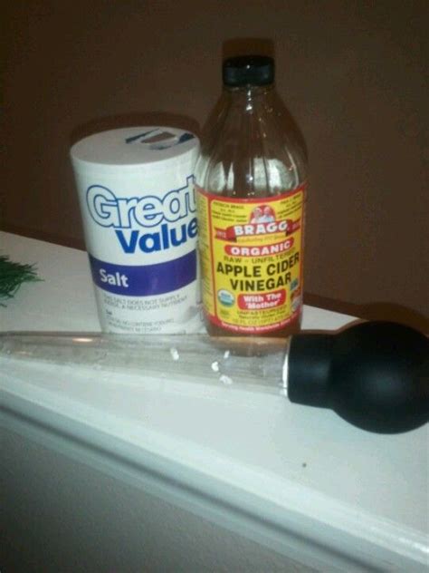 YouTube | Bath for yeast infection, Yeast infection treatment, Apple cider vinegar for skin