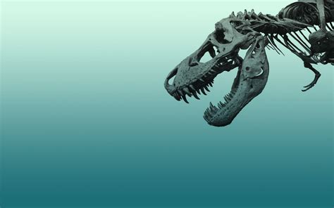 Dinosaur Skeleton Wallpaper