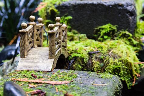 Fairy Bridge | Miniature fairy gardens, Amazing gardens, Fairy garden