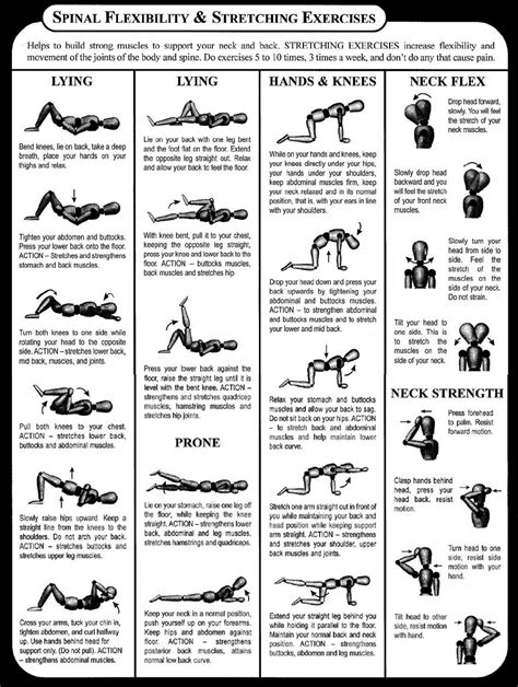 Neck Stretching Exercises Pdf | amulette