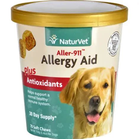 Best Allergy Medicines for Dogs Reviewed & Rated for Quality - TheGearHunt