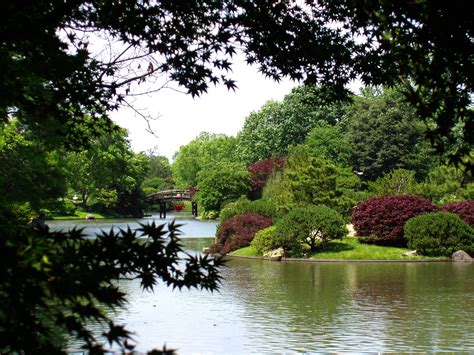 File:Missouri Botanical Garden - Seiwa-en.JPG - Wikipedia