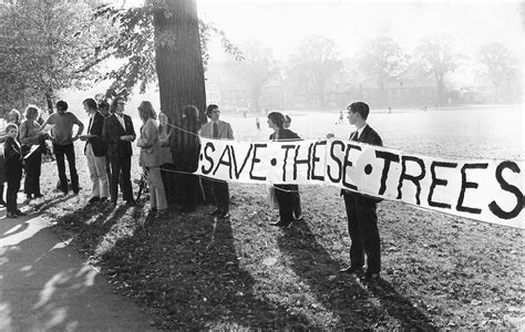 Tree protest, 1960s Parker's Piece - Cambridge News | Nostalgic, Protest art, Cambridgeshire