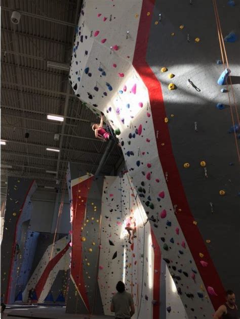 Climbing Gyms | Indoor rock climbing, Climbing gym, Climbing