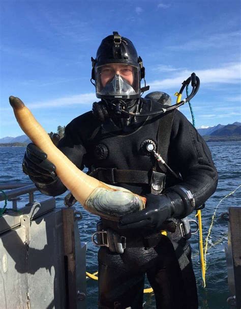 What Is A Geoduck? The Ocean's Giant Burrowing Clam | IFLScience