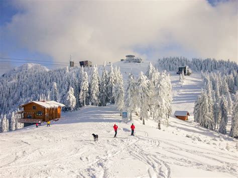 Poiana Brasov Ski - RomaniaTourStore