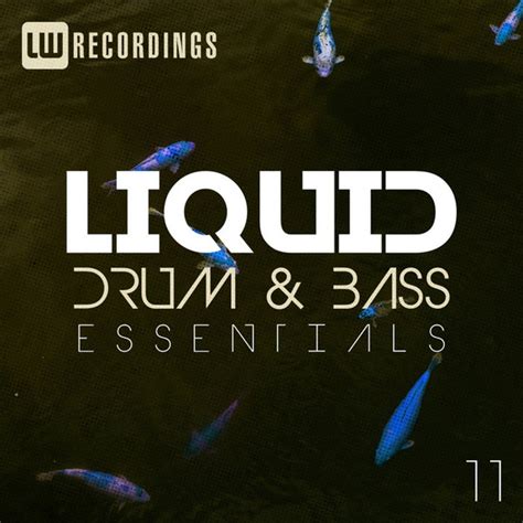 Liquid Drum & Bass Essentials 11 (2018, 320 kbps, File) - Discogs