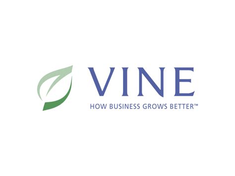 Vine Logo PNG Transparent & SVG Vector - Freebie Supply