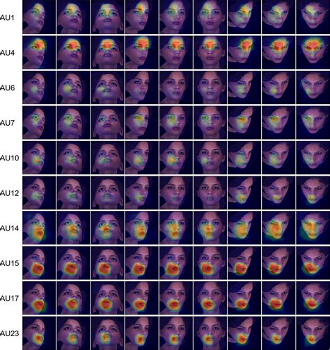 Frontiers | Systematic Evaluation of Design Choices for Deep Facial Action Coding Across Pose