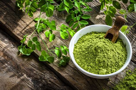 Moringa Oleifera: Unlocking Nature's Health Treasure - Behalal Organics