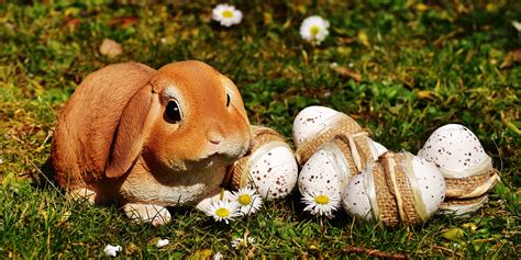 easter, rabbit, eggs Wallpaper, HD Holidays 4K Wallpapers, Images and ...