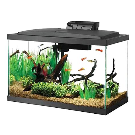 Aquarium Fish Tank PNG Transparent Images - PNG All