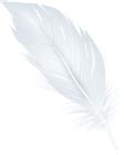 White Feather PNG Clipart | Gallery Yopriceville - High-Quality Free Images and Transparent PNG ...