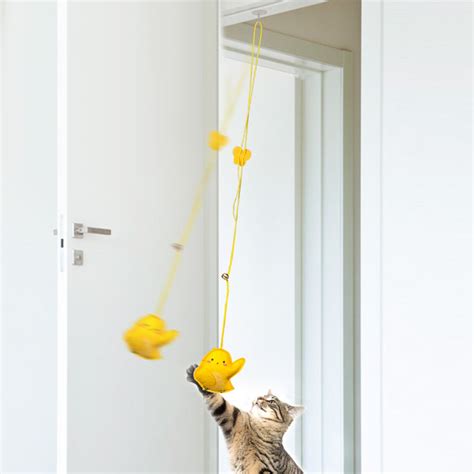 Adjustable Hanging Cat Toy – cliprain