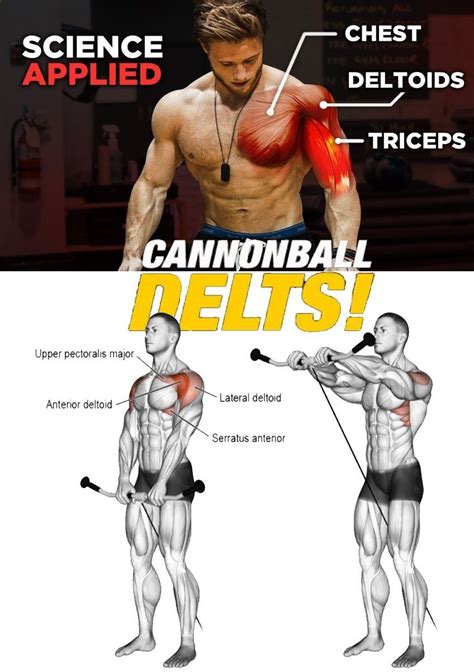 FRONT DELTS TRAINING | Deltoid workout, Delts workout, Gym workout tips