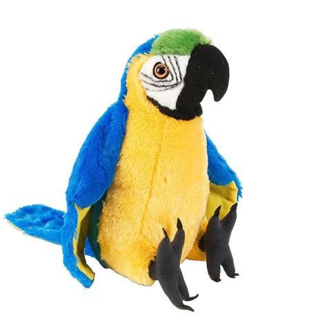 Bird Macaw Parrot soft plush toy|12 inch|30cm|stuffed animal|Cuddlekins ...