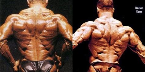 Best Back Ever: Ronnie Coleman vs Dorian Yates – Fitness Volt