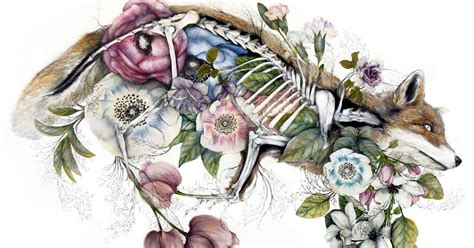 Mimesis: New Anatomical Paintings Depicting Flora and Fauna by Nunzio Paci — Colossal | Nunzio ...