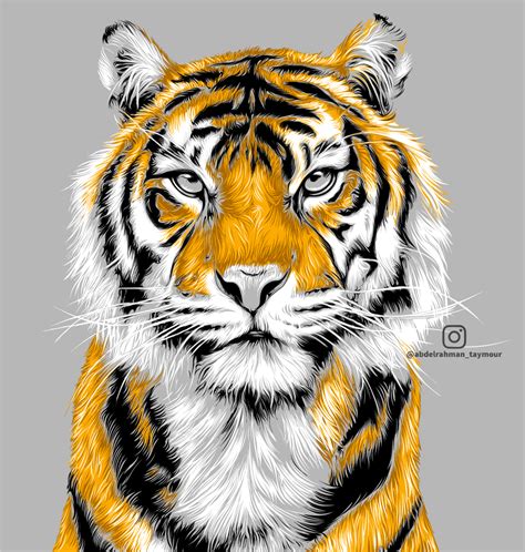 Tiger - illustration :: Behance