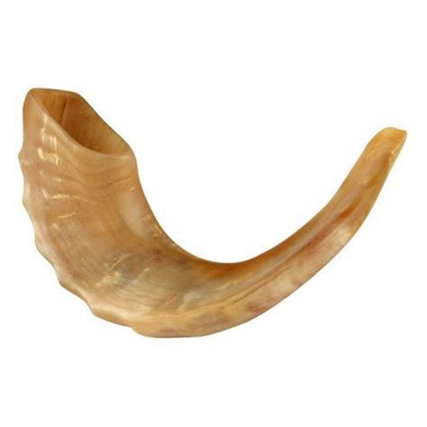 Jewish Ram's Horn Shofar Handmade Polished - Etsy