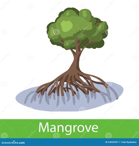 Mangrove Cartoon Tree Stock Vector - Image: 63059497