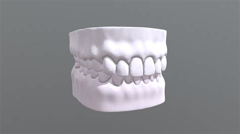 Human Teeth dental model - Buy Royalty Free 3D model by Dahan3D (@danra) [7160c42] - Sketchfab Store