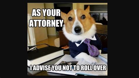 Of Course There Was a Comma in “I Want a Lawyer Dog” – Lowering the Bar