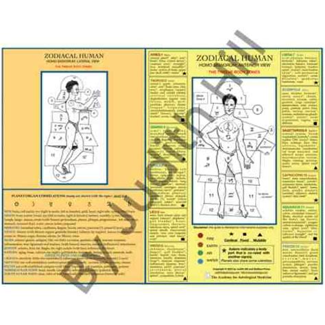 16x20 Medical Astrology Deluxe – AstrologyWallCharts